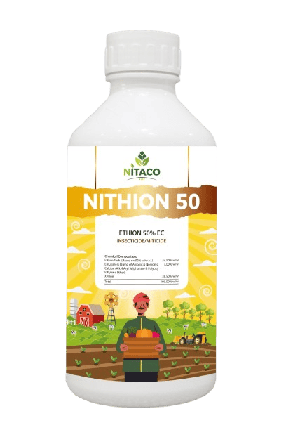 WhatsApp_Image_2025-11-27_at_1.31.59_PM-removebg-preview (1)