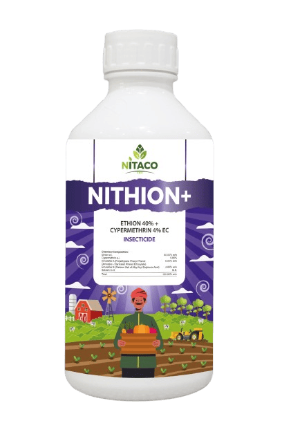 WhatsApp_Image_2025-11-27_at_1.31.59_PM__1_-removebg-preview (1)